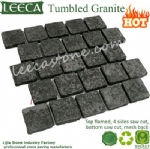 Black paving stone stepping stones