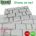 Decorative paving stone on net